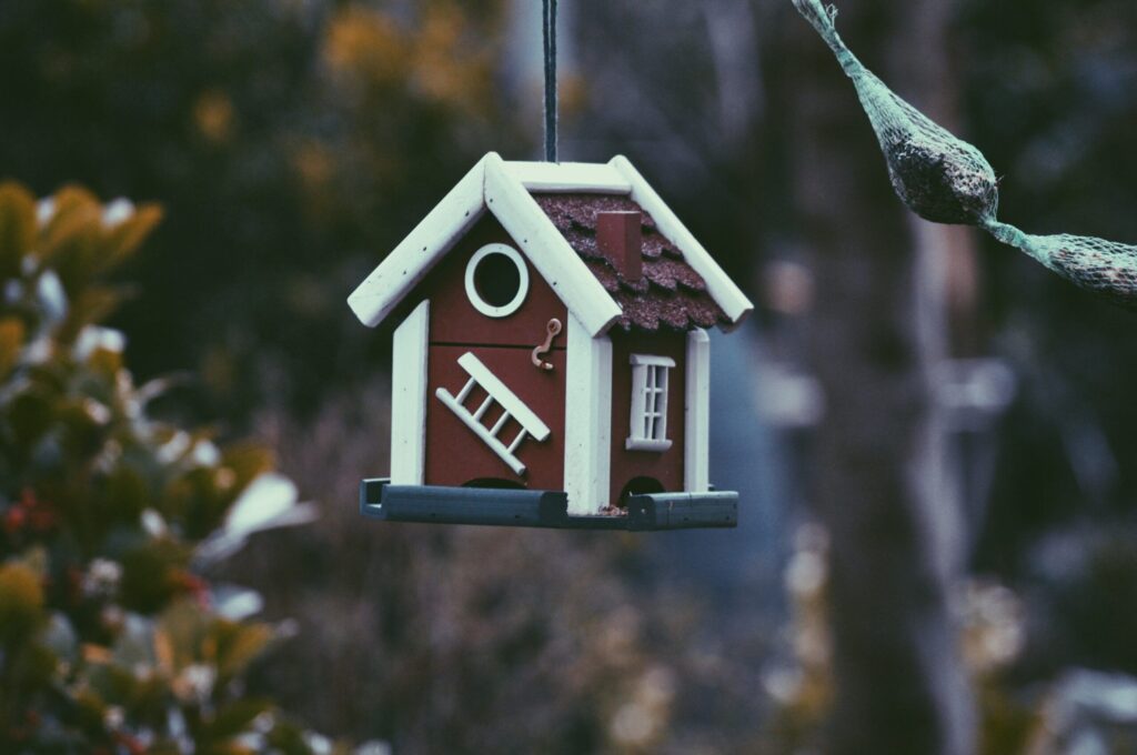 Rent assistance: what are my options?