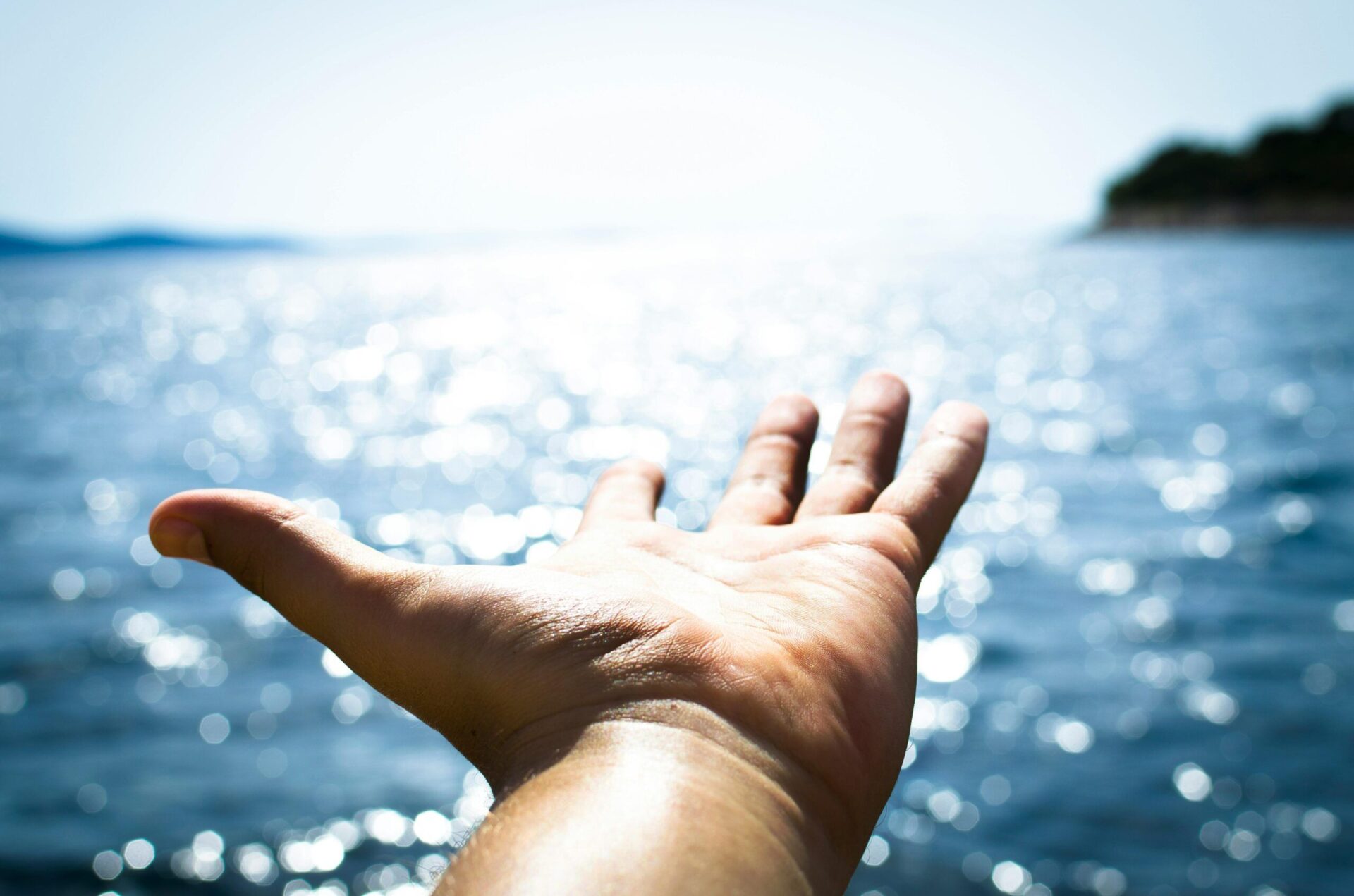 Live debt free: how to achieve financial freedom